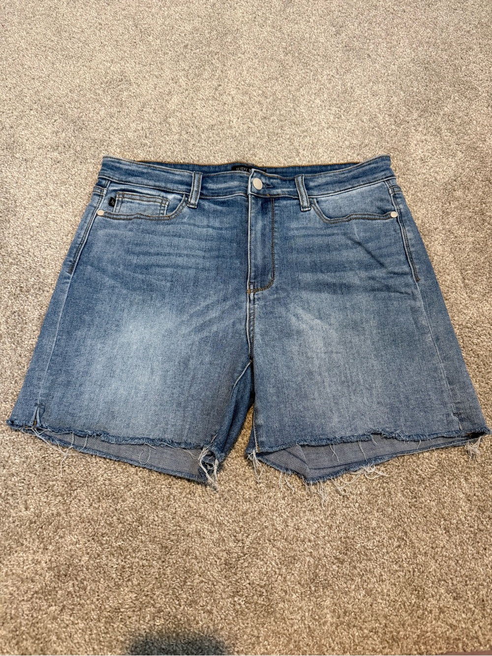 High-Rise Raw Hem Denim Shorts - Judy Blue
